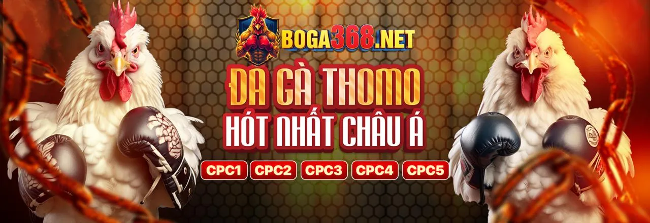 Đá gà trực tuyến kịch tính tại h88 bet