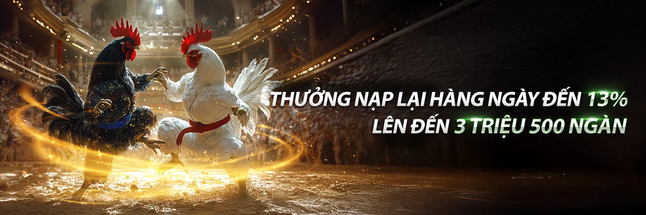 Cá cược thể thao h88 bet