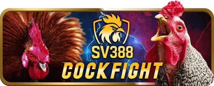 Hoàn trả hàng tuần h88 bet